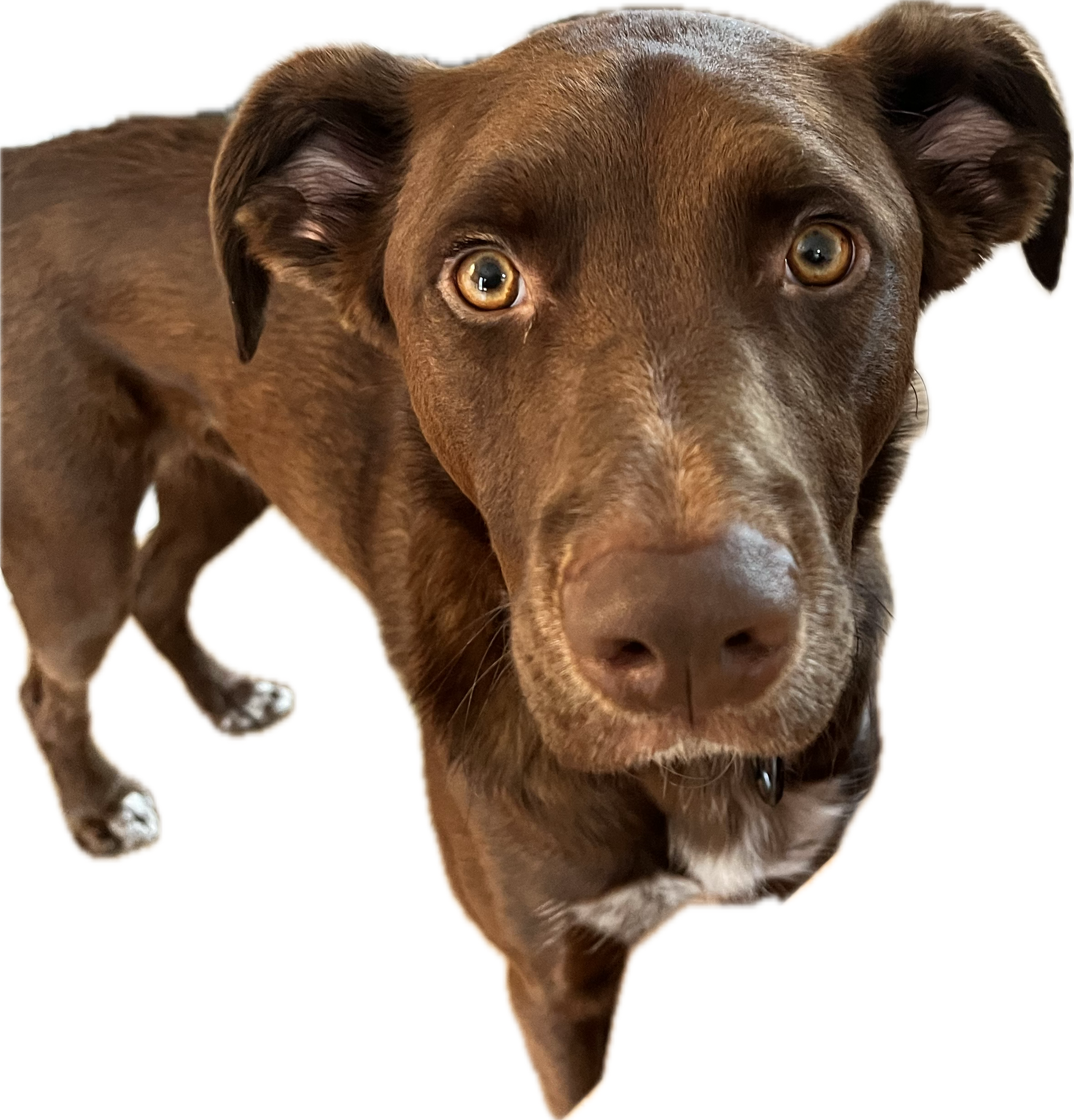 winston